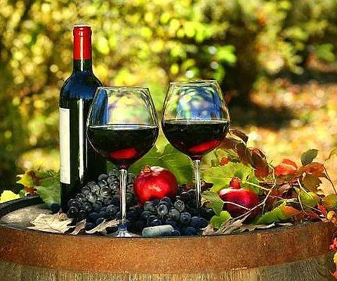 Hotell Terme Tirrenia 3*